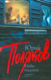 Обложка: Небо падших
