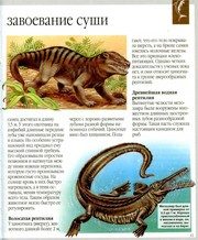 Обложка: Динозавры и другие исчезнувшие животные