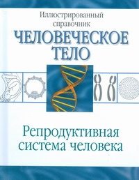 Обложка: Репродуктивная система человека