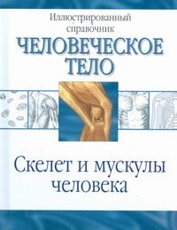 Обложка: Скелет и мускулы человека