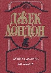 Обложка: Лунная дорога