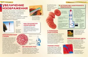 Обложка: Микромир
