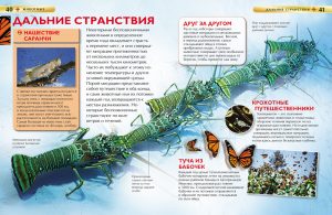 Обложка: Животные